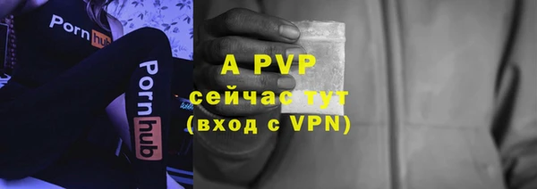 ГАЛЛЮЦИНОГЕННЫЕ ГРИБЫ Медвежьегорск