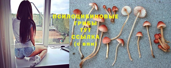 трава Медногорск