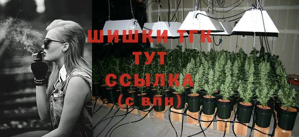 трава Медногорск