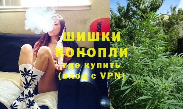ГАЛЛЮЦИНОГЕННЫЕ ГРИБЫ Медвежьегорск