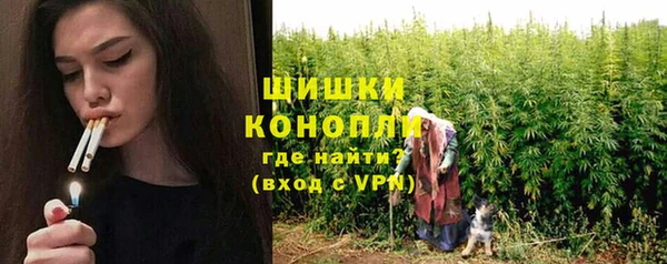 ГАЛЛЮЦИНОГЕННЫЕ ГРИБЫ Медвежьегорск
