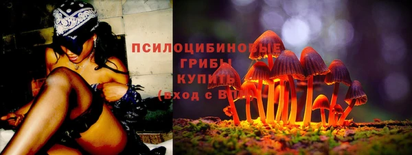 трава Медногорск