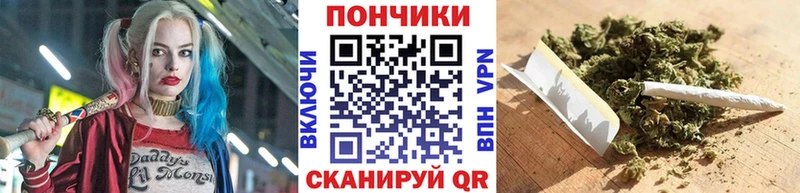 Купить  Оленегорск  Бошки Шишки план 
